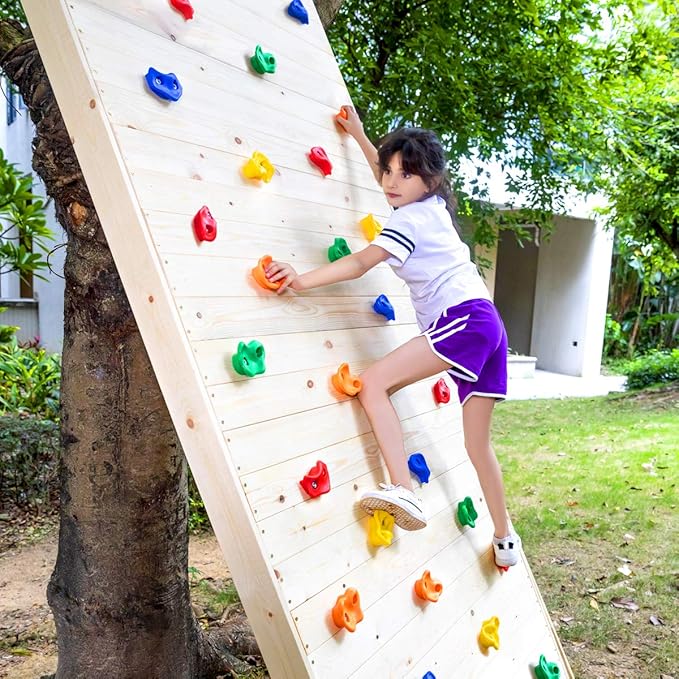 SEKKVY 25 Climbing Holds for Kids, Multi-Color Rock Wall Kit for Indoor Outdoor Play Set, With Mounting Hardware