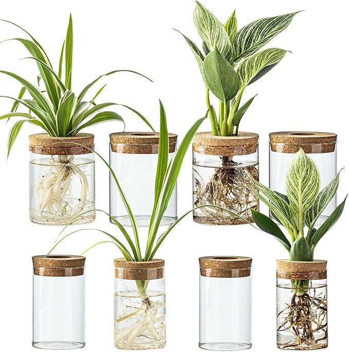 Glass Plant Propagation Stations for Plants – Set of 8(4 Large & 4 Small) Hydroponic Vases for Plant Cuttings,Flower Arrangements, Home & Office Decor–Desktop Vases for Living Room, Bedroom (8)