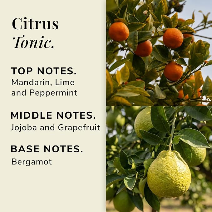 Citrus Tonic Aromatherapy Candle – Mandarin, Lime & Grapefruit Scented Candle, Plant-Based Wax, Mini 2.8 oz, 15 Hour Burn Time, Fresh & Uplifting Candle