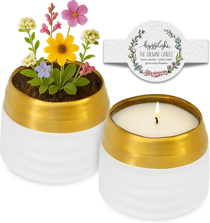 Hyggelight - The Growing Candle, Chai Scented, 10oz Ceramic Pot, Aromatherapy Candles for Home, 100% Soy, Clara