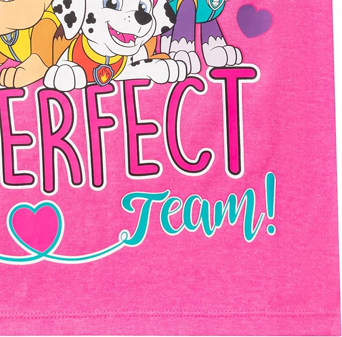Paw Patrol Nickelodeon Girls Short Sleeve T-Shirt for Toddler and Little Kids