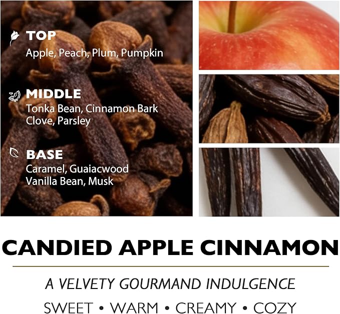 HomeLights Large jar Candle | 4-Wick Long-Lasting Scented Candles, 18oz Natural Soy Wax Candle for Home Scented, Rustic Modern Gifts for Women & Men, Candied Apple Cinnamon