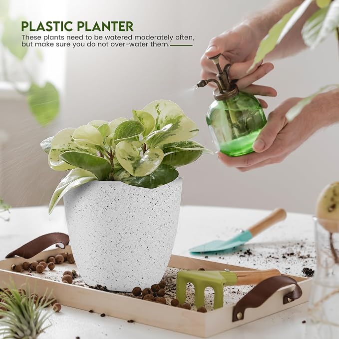 Plant Pots Indoor with Drainage 10 Pack Multi-Size Planters Set Spotty Grey | Drainage holes included Multiple sizes 7/6.6/6/5.3/4.8 In Indoor plants and flowers Durable plastic construction