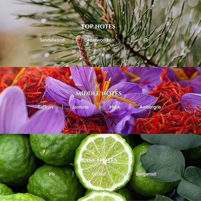 AROMADD AROMADD Blacktail Ridge Hotel Diffuser Oil Inspired by Luxury Hotel Collection Scent, Woody Sandalwood & Fir Aroma, Premium Fragrance Oil for Waterless Diffuser,Long-Lasting,6.76 fl oz(200 mL)