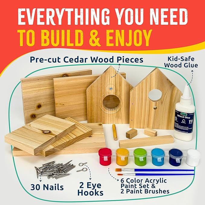 Jr Bird House Kit, DIY Cedar Wood Birdhouse for Outdoors with Paint, Fun for Kids & Adults, Bird House Making Kit for All Ages (1-Pack)