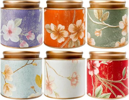 TooGet Tea Tin Canisters 6Pcs - Loose Leaf Tea Storage Small Empty Tins Vintage Round Airtight Storage Tin Containers with Lids, Tinplate for Teas, Coffee, Herbal, Spices & Dry Food (3.93 x 4.13 in)