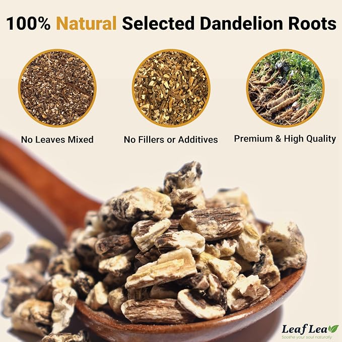 LeafLea Dandelion Root Tea Bags, 240 Count, Natural Dandelion Herbal Tea Blend, Natural Dried Dandelion Root, Caffeine-Free, Sugar-Free, Vegan, Sealed for Fresh Flavor, Pack of 6