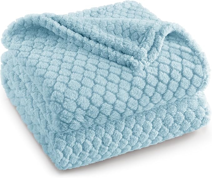 Exclusivo Mezcla Soft Fleece Throw Blanket for Couch, Light Blue | Jacquard Lightweight Cozy Throws for Bed, Sofa, Breathable Decorative Fuzzy Textured All Season Use, 50x60 Inches
