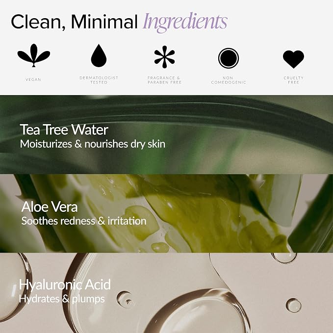 Beia Feminine Wipes Individually Wrapped - pH Balancing Intimate Wipes for Women Hygiene with Aloe Vera and Green Tea - Fragrance Free & Vegan for Full Body & Face - 15 Refresh Travel Size Wipes