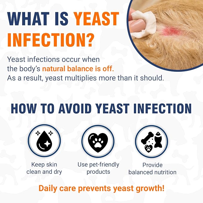 Yeast Infection Treatment for Dogs Soothes Itchy Ears and Irritated Skin – Helps with Allergies, Redness & Maintains Gut Work – Liquid Yeast Infection Drops for Dogs with Natural Beef Flavor – 2 Oz