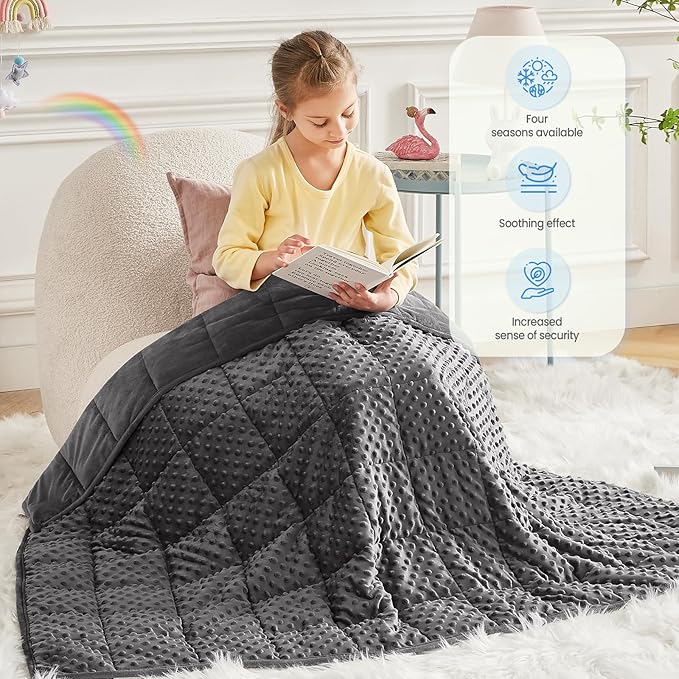 Weighted Blanket - 10 lbs Grey Minky Heavy Blanket - Small Size Breathable Lap Blanket(41"x60", 10 lbs)