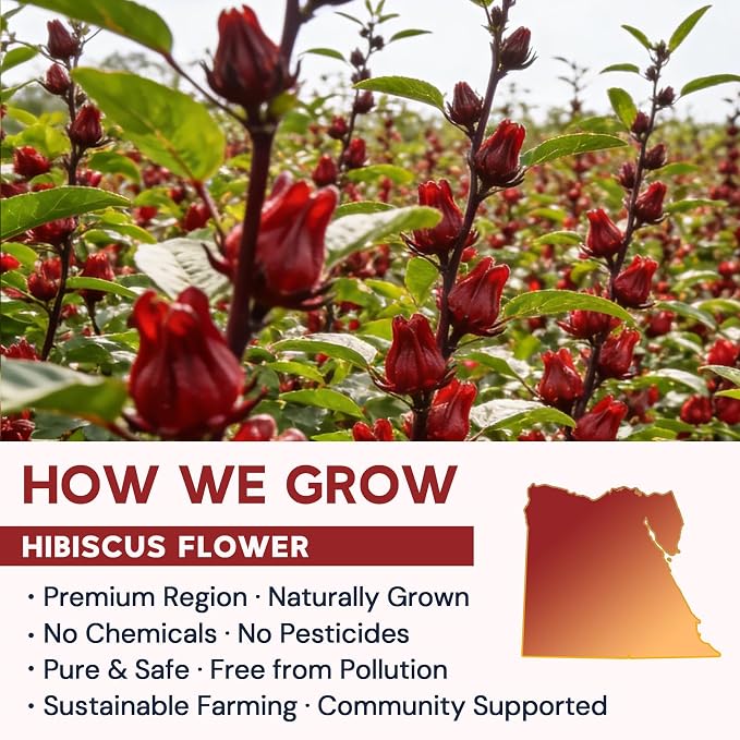 Hibiscus Tea Bags, Hibiscus Flower Herbal Tea - Caffeine & Sugar Free, 50 Teabags