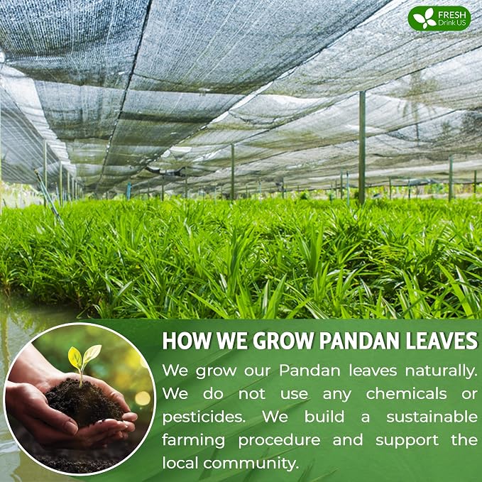 FreshDrinkUS, Premium 30 Pandan Leaf Tea Bags, 100% Natural & Pure from Pandan Leaves. Loose Leaf Pandan Herbal Tea. Made with Natural Material Tea Bags. No Sugar, No Caffeine, No Gluten, Vegan. (30 Tea bags)