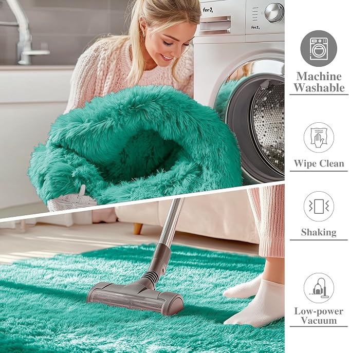 OLANLY 3x5 Machine Washable Small Bedside Rug, Soft Fluffy Shaggy Rugs for Living Room, Bedroom, Indoor Floor Carpet for Kids Girls and Boys, Preppy Dorms, Nursery, Home Decor Aesthetic, Teal Green