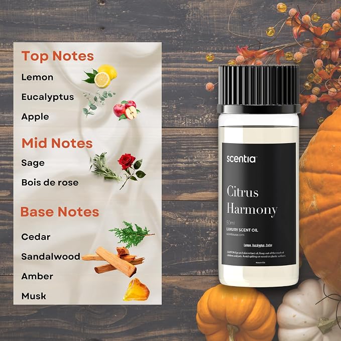 Scentia Citrus Harmony Fragrance Oil for Diffusers – Fresh Lemon & Eucalyptus Clean Home Scent Oil for Aromatherapy, Candle Making & DIY – Citrus Aromatic Fragrance Oil – 50 ml