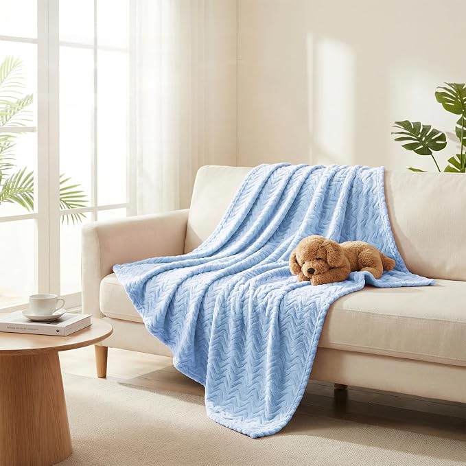 Exclusivo Mezcla Soft Fleece Blanket Queen Size for Bed, Sofa, Light Blue | 90"x90" Breathable Lightweight Flannel Blanket for Summer, Plush Cozy Jacquard Wave for Home Decor