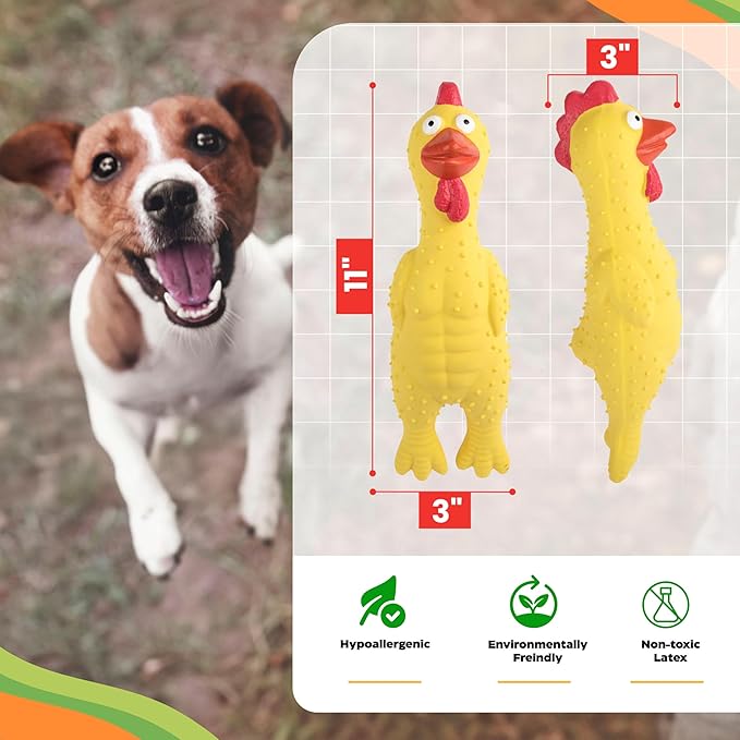 100% Natural Latex Squeaky Dog | Durable Rubber Chicken Chew Toy for Small & Large Dogs | Funny Screaming Chicken | Safe & Interactive Toy for Play, Teething and Boredom | Tough Design