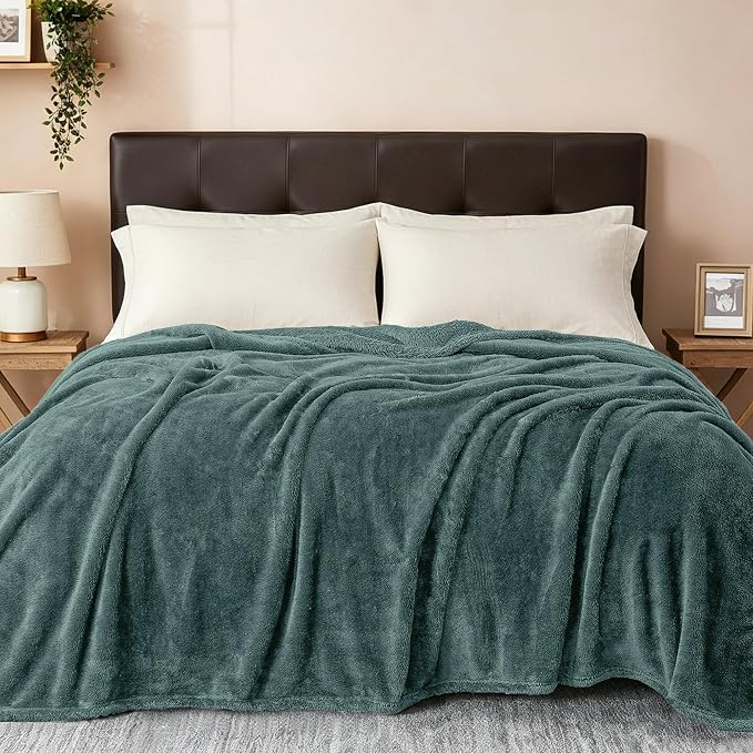 Exclusivo Mezcla Fuzzy Plush Fleece Bed Blanket King Size, Celadon | 104x90 Inches, Super Soft and Cozy Bed Blanket, Fluffy Decorative Bedding for Livingroom, Bedroom, All Season