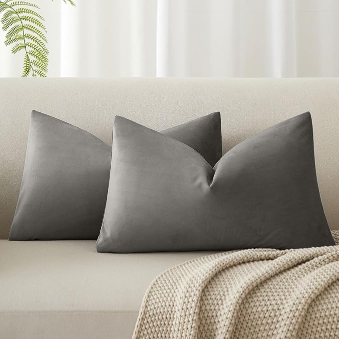 12x20 Throw Lumbar Pillow Covers Decorative Cushion Covers Set of 2,Ash | Soft Velvet Pillow Cases with Invisible Zipper for Modern Couch Sofa Bed Living Room Bedroom Home Decor