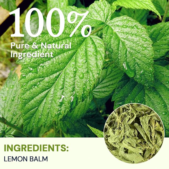 Lemon Balm Tea Bags, Pure & Natural Melissa Officinalis Herbal Tea, Premium Dried Lemon Balm Leaf with Naturally Lemony & Citrusy Flavor, Caffeine-Free, Non-GMO, 100 Count
