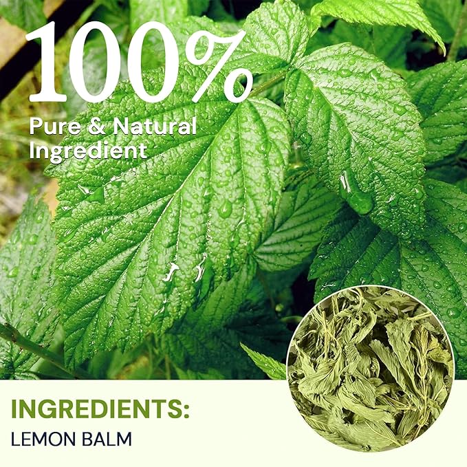 Lemon Balm Tea Bags, Pure & Natural Melissa Officinalis Herbal Tea, Premium Dried Lemon Balm Leaf with Naturally Lemony & Citrusy Flavor, Caffeine-Free, Non-GMO, 20 Count