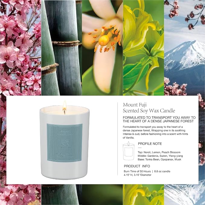 Luxury Scented Candle Hand Poured All Natural Soy Wax Essential Oil Stress Relief Candle for Home Scented Aromatherapy Birthday Gifts for Women Christmas Gifts for mom Couples 50 hrs