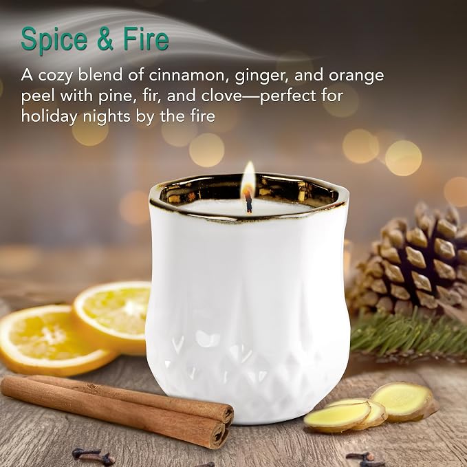 Hyggelight - The Growing Candle, Spice & Fire Scented, 9oz Ceramic Pot, Aromatherapy Candles for Home, 100% Soy, Astrid