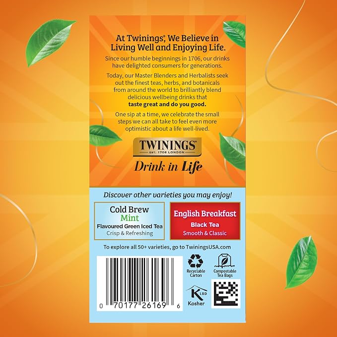 Twinings Mixed Berries Cold Brew Iced Tea Bags, 20 Count (Pack of 6), Unsweetened Flavoured Black Tea, Caffeinated, 120 Teabags