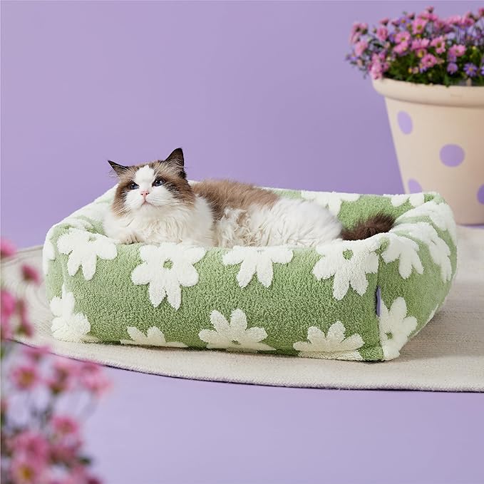 Lesure Cute Dog Bed for Small Dogs & Cats- Washable Puppy Beds,Cozy Rectangle Orthopedic Pet Sofa with Jacquard Shaggy Plush & Anti Slip Bottom,20x19x6inches