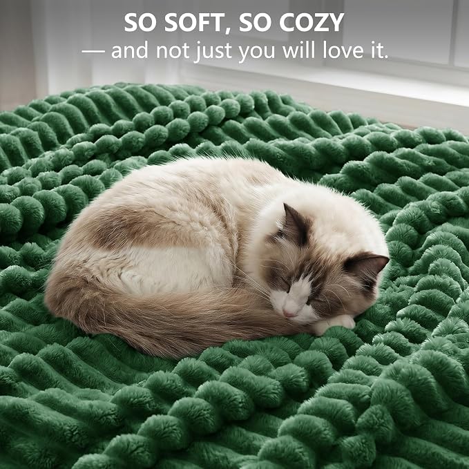 Dark Green Blankets Queen Size for Bed, 90 x 90 Inch | 300GSM Ribbed Fleece Blanket, Soft, Cozy & Lightweight, OEKO-TEX Certified, All-Season for Bedrooms, Guest Rooms & Gifting