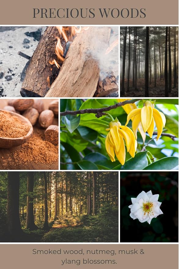 Eco Candle Co. Precious Woods Tea Light Candles, 10-Pack, 9 Hr Burn Time | Scents of Smoked Wood, Nutmeg, Musk, & Ylang - Recyclable, No Lead, Hand Poured, Midwest Grown Soybeans, .6 oz. Each