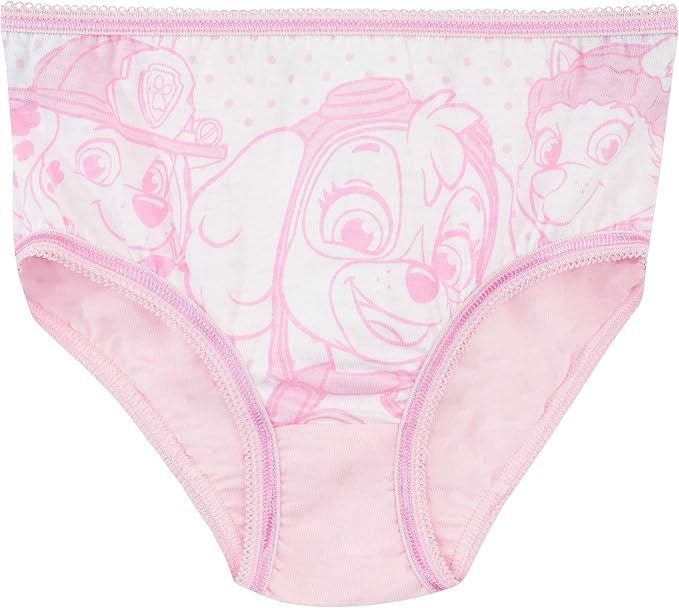 Paw Patrol Girls' Skye and Everest Underwear