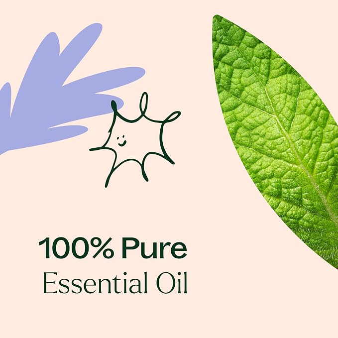 Plant Therapy Respir Aid Essential Oil Blend 100 mL (3.3 oz) Sinus, Airway and Congestion Clearing Synergy Blend 100% Pure, Undiluted, Natural Aromatherapy, Therapeutic Grade