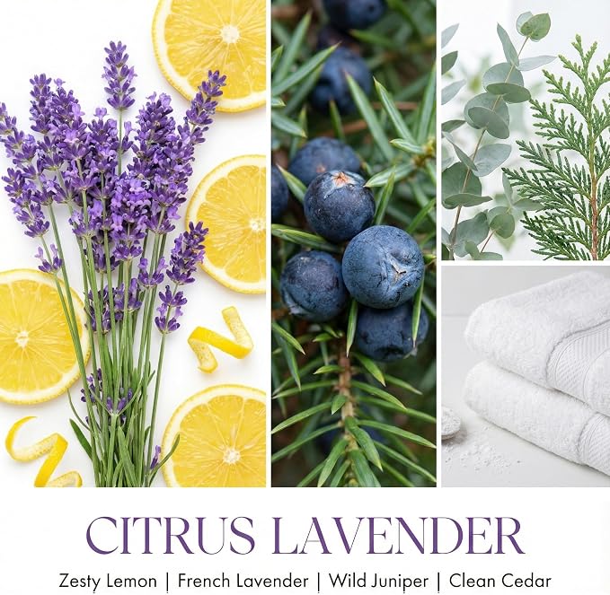HomeLights Citrus Lavender Scented Candles | 6.7oz Soy Candles Scandinavian Minimalist Design Large Candle Jars | Ideal Candle Gifts for Events, Home Decor Stress, Relief & Relaxation