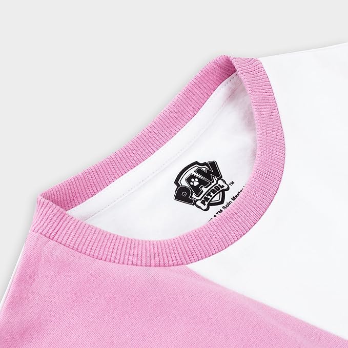 Paw Patrol Sweatshirt For Girls | Skye Sweater For Girls | Fun Kids Jumper | Official Merchandise