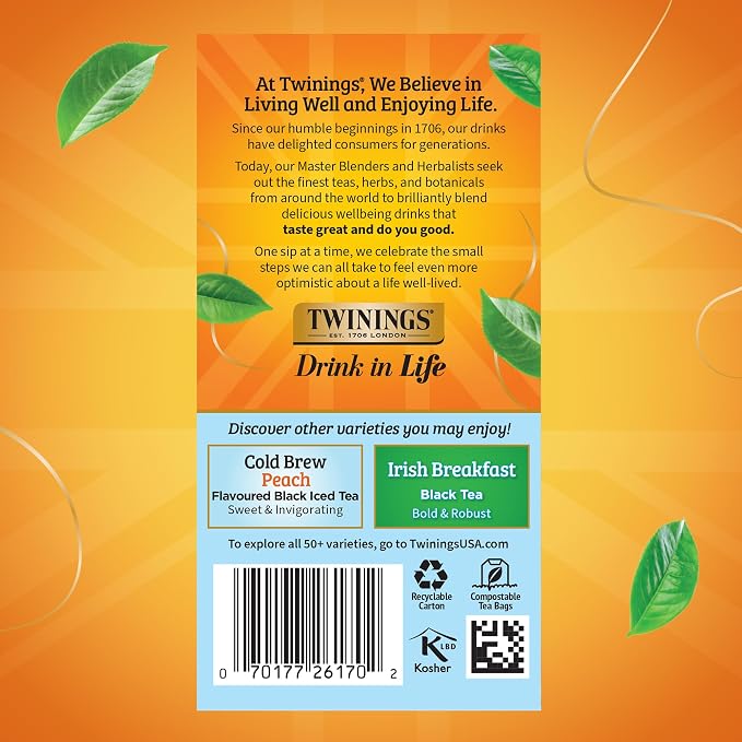 Twinings Cold Brewed Iced Tea - Mint Flavored Green Tea with Peppermint Leaves, Caffeinated Green and Black Tea Extracts, Unsweetened Cold Brew Tea Bags Individually Wrapped, 20 Count