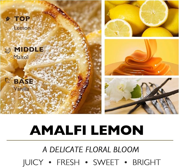 HomeLights Large jar Candle | 4-Wick Long-Lasting Scented Candles, 18oz Natural Soy Wax Candle for Home Scented, Eclectic Mixed Styles Gifts for Women & Men, Amalfi Lemon
