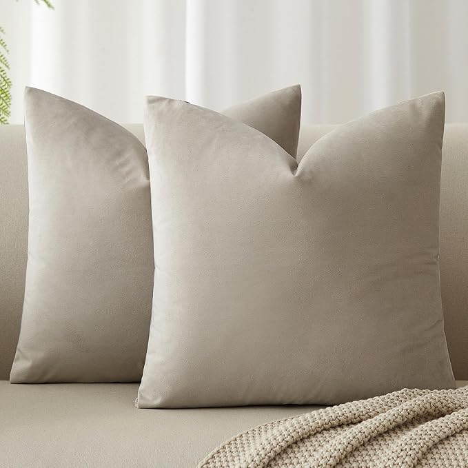 20x20 Throw Pillow Covers Set of 2 Decorative Velvet Cushion Covers,Cloud | Soft Pillow Cases with Invisible Zipper for Modern Couch Sofa Bed Living Room Bedroom Home Decor