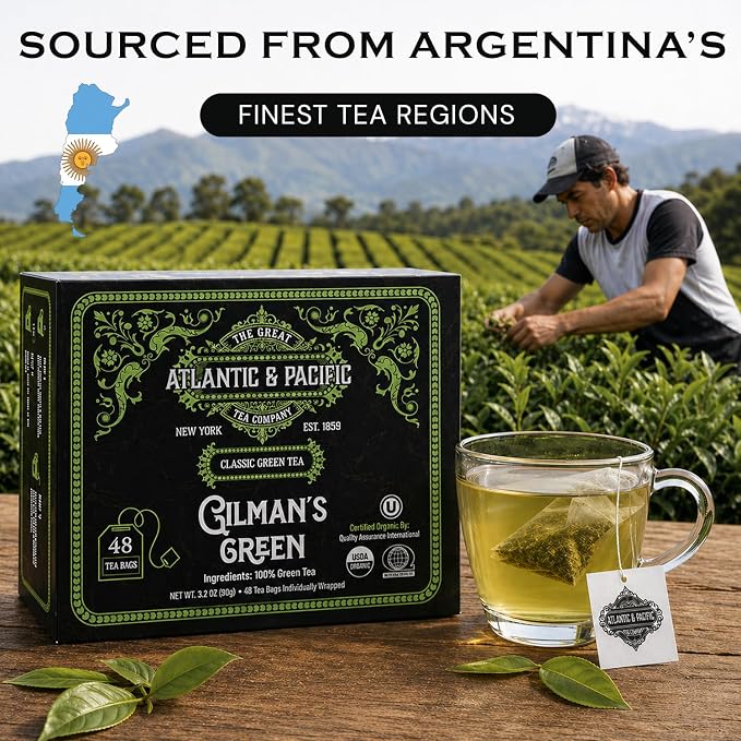 A&P Coffee Gilman’s Organic Green Tea Bags, 48 Count, Smooth Flavor Green Tea, Naturally Caffeinated, Rich in Antioxidants, Fresh Aroma, Premium Green Tea, Hot or Iced Tea