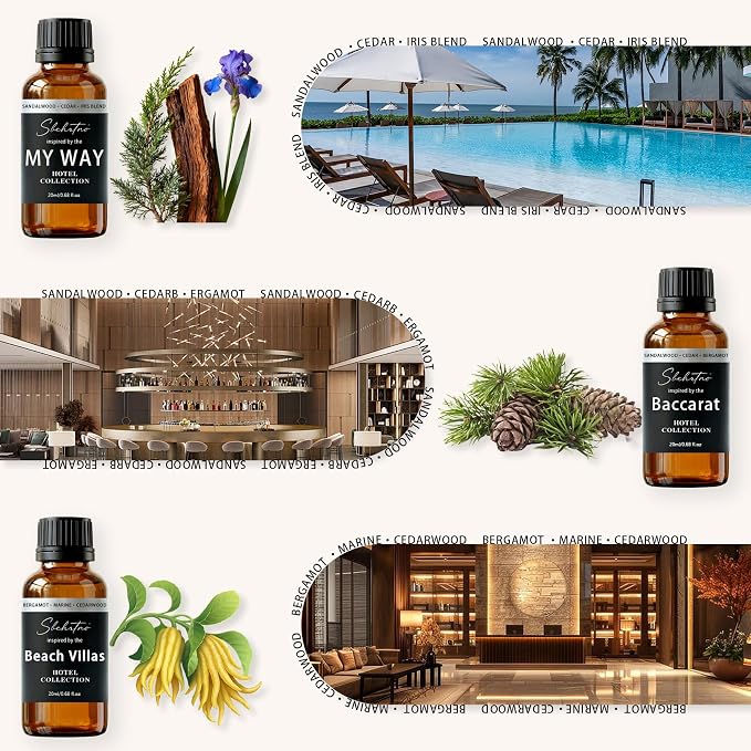 Hotel Diffuser Oil Gift Set–Luxury Hotel Inspired Fragrance Oils for Diffusers, Premium Aromatherapy Home Fragrance, Long Lasting Scent for Bedroom, Spa & Office (4.0 Fl Oz (6 x 0.68 Fl Oz))