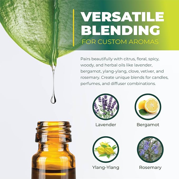 Tagetes Essential Oil – 100% Pure Steam Distilled from Tagetes minuta Flowers | Sweet, Citrusy Aromatherapy Oil for Relaxation & Massage | Top Note | Natural & Undiluted | India | 15ml