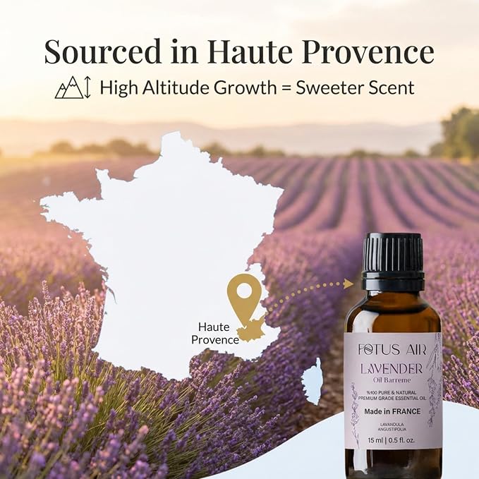 Waterless Essential Oil Diffuser Starter Kit with 15ml French Lavender Oil - Rechargeable Cordless Aromatherapy Machine for Home Bedroom Car Office Travel - 3 Mist Levels - 4 Timer - 24-Hour Battery