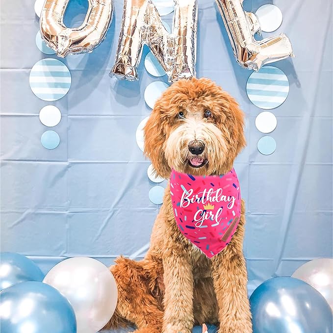 Realeaf Birthday Girl Dog Bandana, Dog Birthday Party Supplies,Premium Durable Fabric, Bandanas for Medium and Large Dogs Pets (Pink, Large)