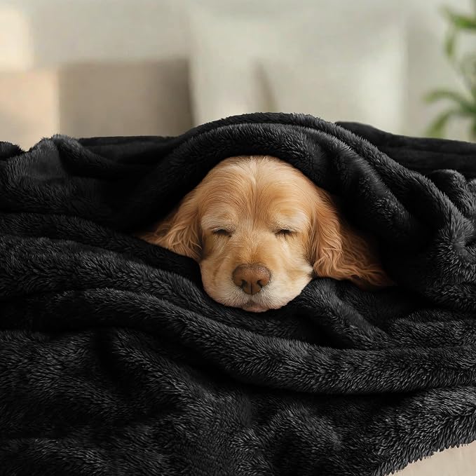 Exclusivo Mezcla Fuzzy Plush Fleece Bed Blanket Queen Size, Black | 90x90 Inches, Super Soft and Cozy Bed Blanket, Fluffy Decorative Bedding for Livingroom, Bedroom, All Season