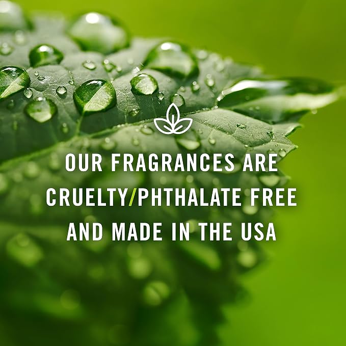 P&J Trading Fragrance Oil | Pomegranate Oil 100ml - Candle Scents for Candle Making, Freshie Scents, Soap Making Supplies, Diffuser Oil Scents