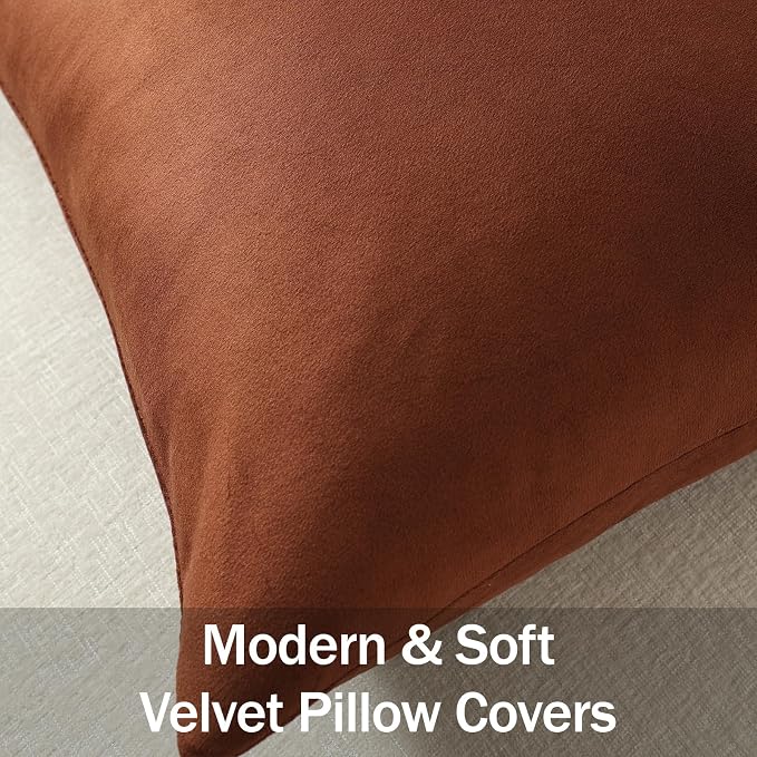Lumbar Pillow Covers 12x20 Reddish Brown: Pack of 2 Cozy Soft Velvet Rectangular Modern Luxury Decorative Throw Pillow Cases for Sofa Couch Living Room Bed Home Decor