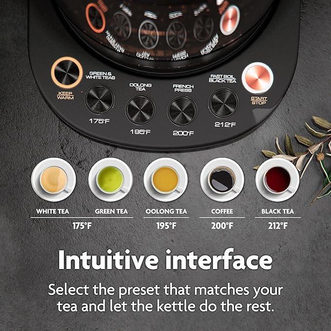 Viante Alba Electric Tea Kettle with Infuser, No Plastic In Contact With Water, 1.5L Borosilicate Glass, 304 Stainless Steel, 4 Temperature Presets, Keep Warm, Cordless, Auto Shut-Off, Black