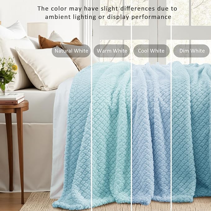 Exclusivo Mezcla Soft Fleece Twin Size Blanket for Bed, Light Blue | Jacquard Lightweight Cozy Bed Blanket, Breathable Decorative Fuzzy Textured All Season Use, 60x80 Inches