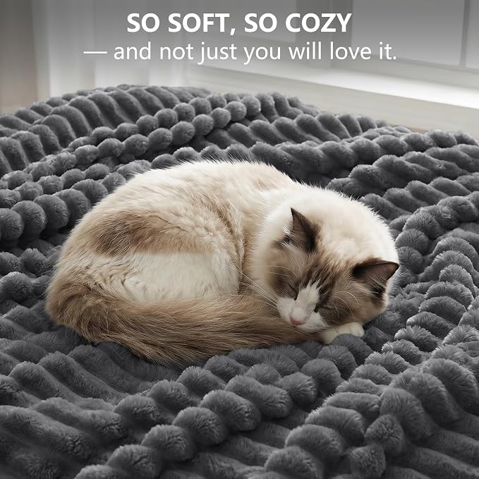 Dark Gray Throw Blanket for Couch & Bed, 50 x 60 Inch | 300GSM Ribbed Fleece Blanket, Soft, Cozy & Lightweight, OEKO-TEX Certified, All-Season Use for Travel, Dorm & Home Decor