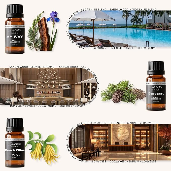 Hotel Diffuser Oil Gift Set–Luxury Hotel Inspired Fragrance Oils for Diffusers, Premium Aromatherapy Home Fragrance, Long Lasting Scent for Bedroom, Spa & Office (2.0 Fl Oz (6 x 0.34 Fl Oz))